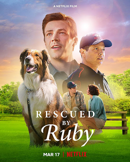 Xem Phim Chó Cứu Hộ Ruby (Rescued by Ruby)